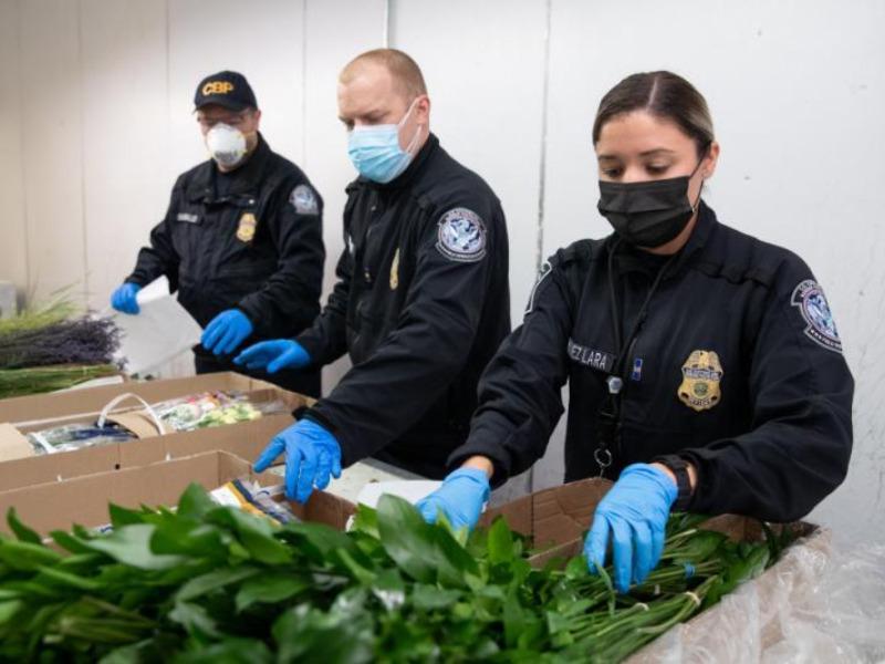 Est&aacute; prohibido cruzar algunas flores y arreglos este d&iacute;a de las madres, advierte Aduana de Eagle Pass