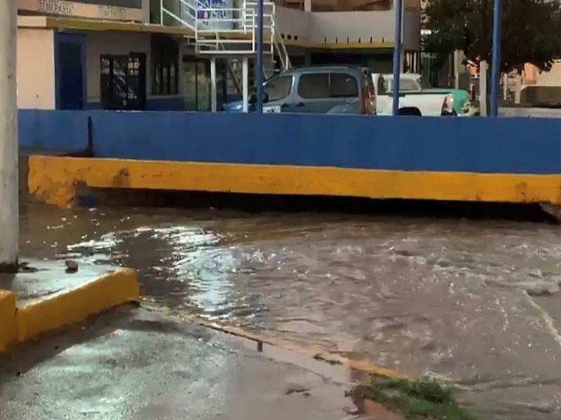Tormenta y fuertes vientos provocaron cortos circuitos, ca&iacute;da de ramas y afectaciones en sem&aacute;foros en Piedras Negras (video)