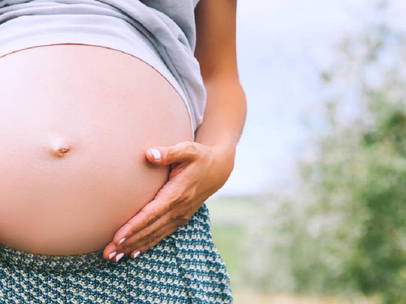 Vacunas antiCovid de Pfizer y Moderna no causan daños en la placenta durante el embarazo, revela estudio