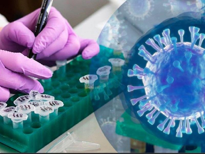 Hallan punto d&eacute;bil del COVID; impedir&iacute;a que se multiplique en el cuerpo humano