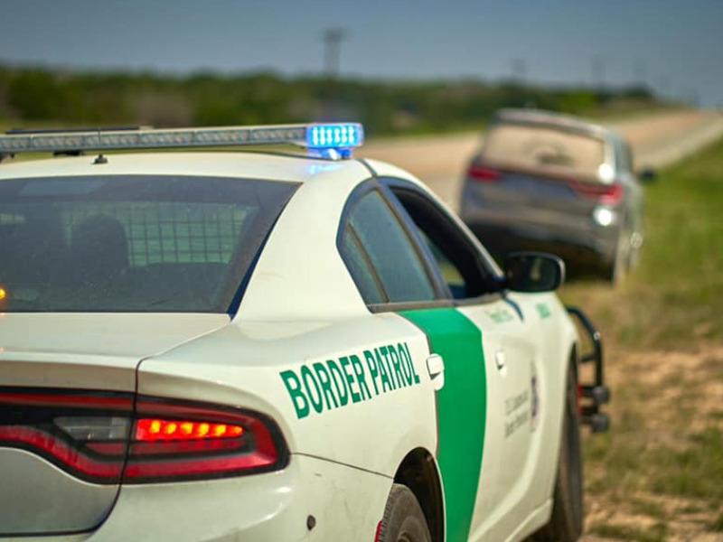 Enjambre de abejas ataca a indocumentados y a agentes de la Patrulla Fronteriza durante una persecuci&oacute;n