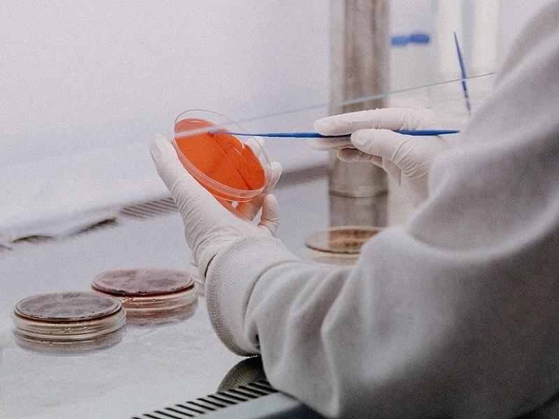 No cuenta Piedras Negras con tecnolog&iacute;a espec&iacute;fica para detectar cepas de COVID-19