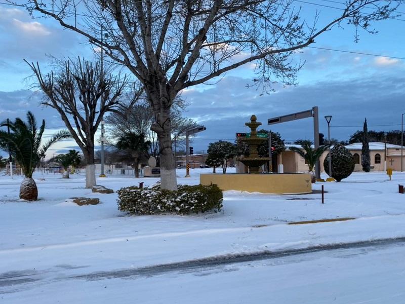 Se cumplen 100 d&iacute;as de la  tormenta invernal m&aacute;s intensa en los &uacute;ltimos 30 a&ntilde;os; decenas de &aacute;rboles siguen de pie pero secos 