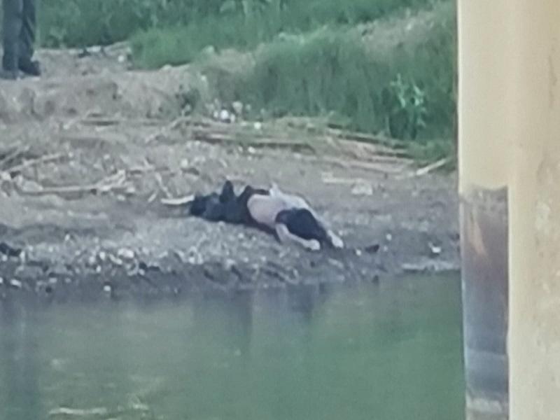Se ahoga otro indocumentado en el río Bravo en Eagle Pass
