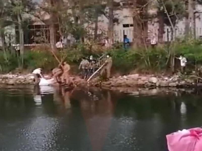 Cocodrilo mata a una mujer que lavaba ropa en una laguna de Tampico (video)