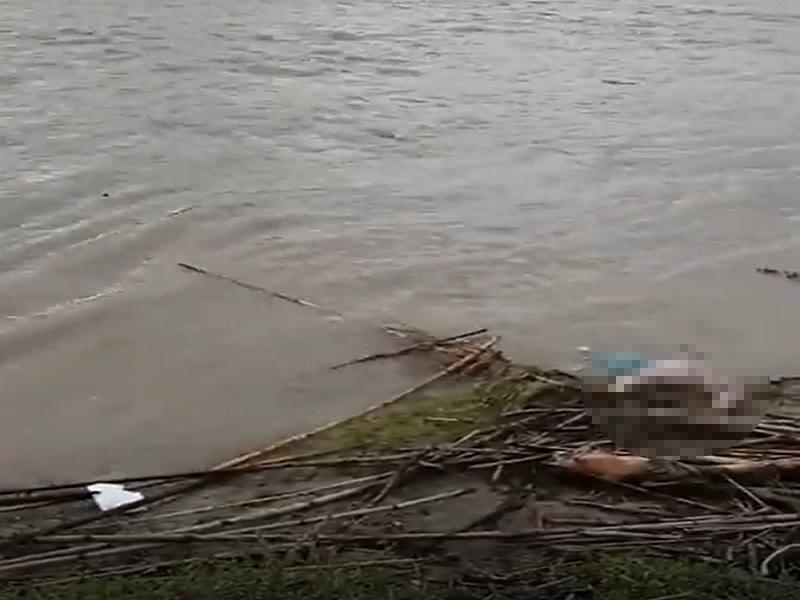 Investigan causa de muerte de ni&ntilde;a hallada desmembrada en el r&iacute;o Bravo en Piedras Negras (VIDEO)