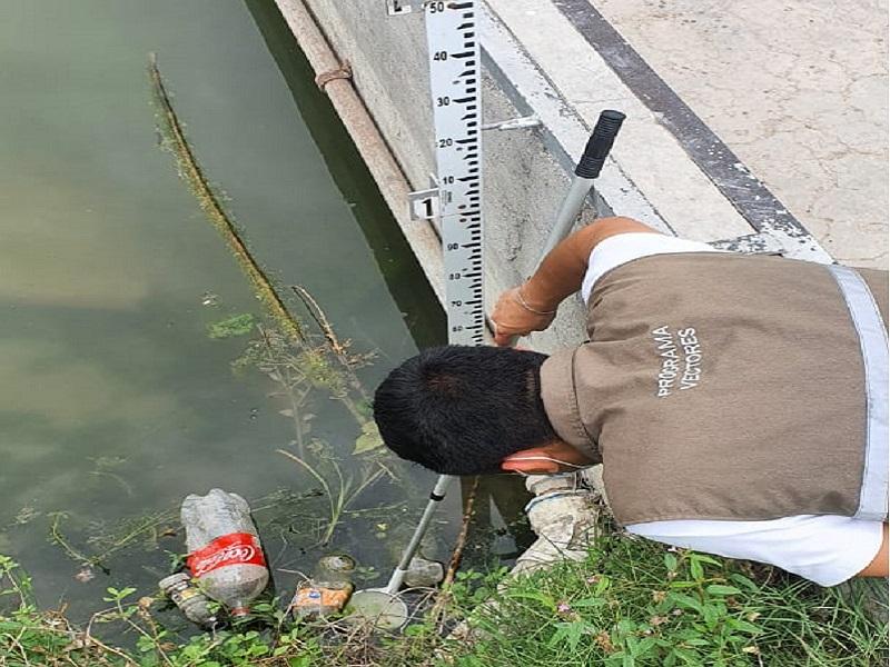 Aplica Vectores insecticida en cuerpos de agua, charcos y arroyos tras lluvias en Piedras Negras