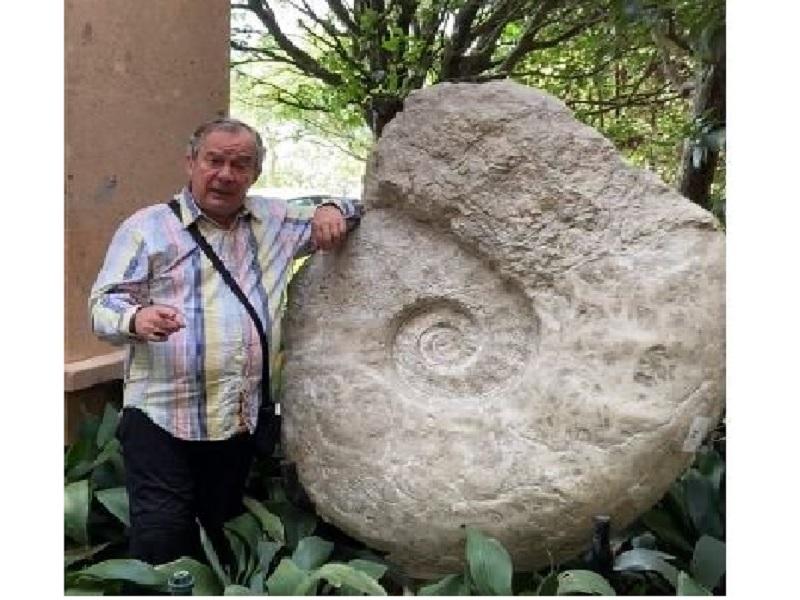 La segunda amonita m&aacute;s grande del mundo es de Piedras Negras, una joya de la paleontolog&iacute;a; se exhibir&aacute; en La Milarca (video)