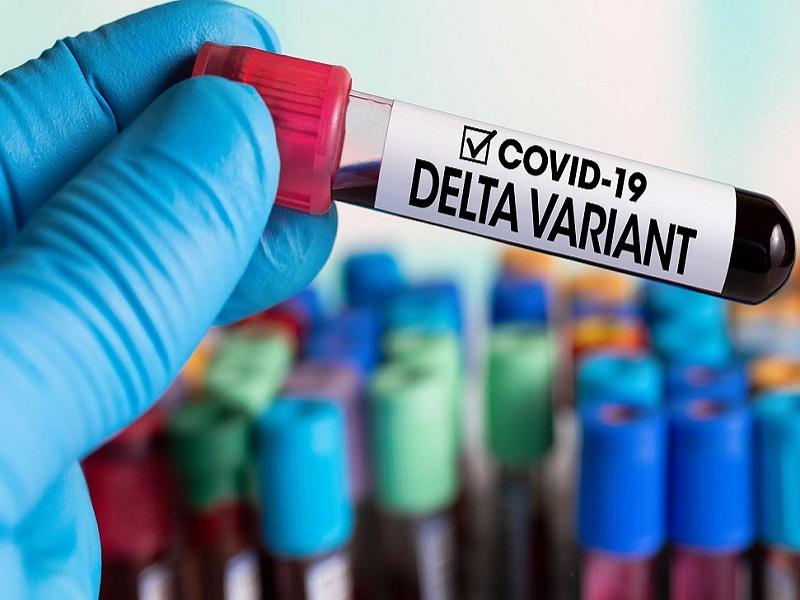 Síntomas de pacientes positivos a Covid son parecidos a los registrados en diciembre y enero, no hay reporte de casos Delta (video)
