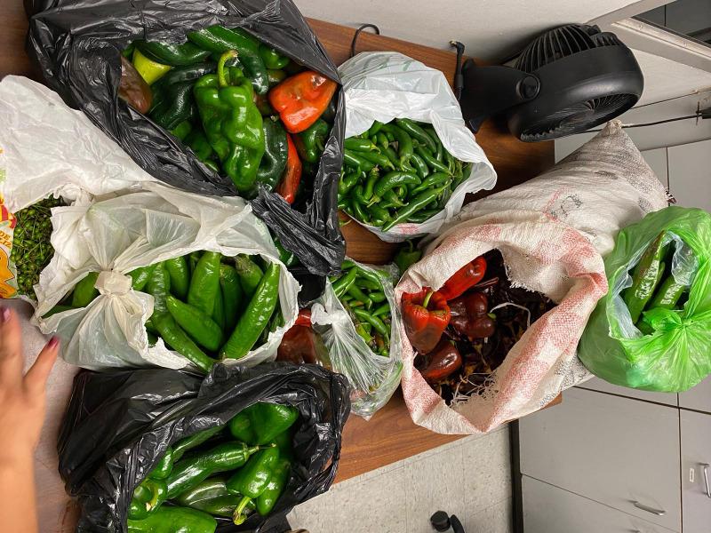 Multaron con 300 d&oacute;lares a mujer que llevaba chile y no lo declar&oacute; en el Puente Internacional Dos