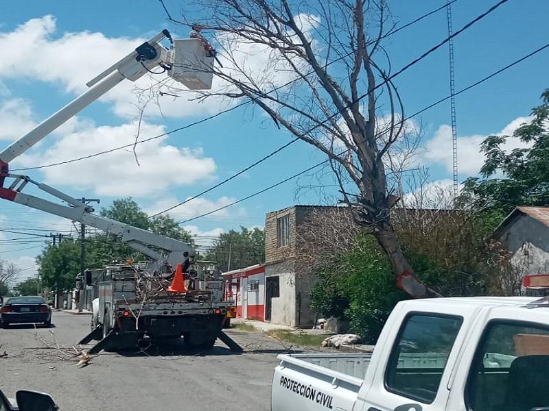 Protecci&oacute;n Civil de Piedras Negras elimina riesgos para automovilistas y peatones