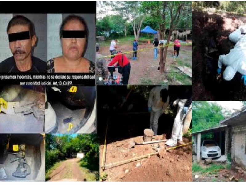 Encuentran en Colima nueve cuerpos en ocho fosas clandestinas