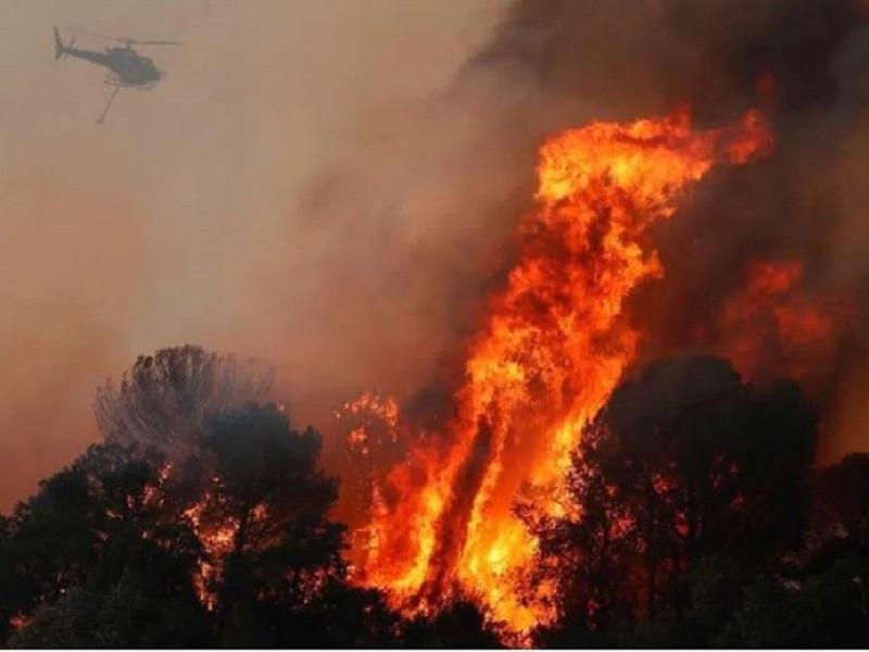Huyen miles de incendio forestal en Francia