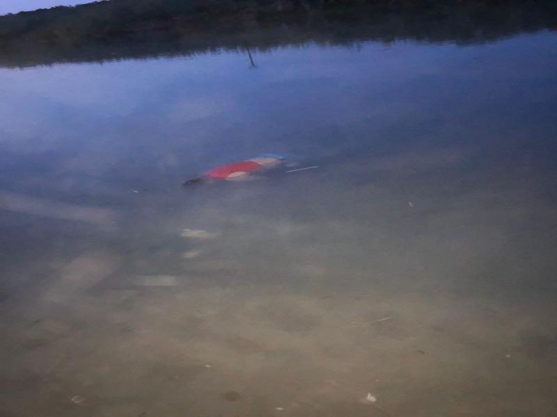No han sido identificados los cuatro hombres ahogados en el río Bravo (video)