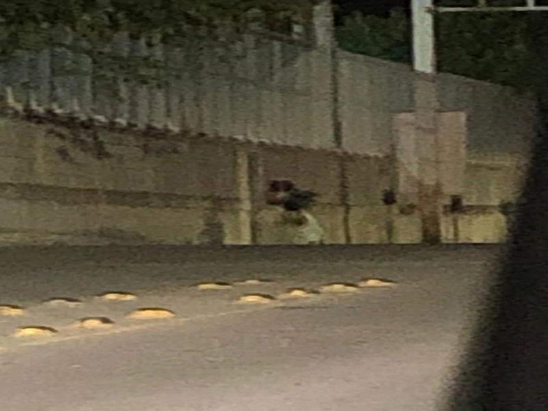 Mujer vestida de novia se arroja a las peligrosas aguas del R&iacute;o Bravo en Piedras Negras