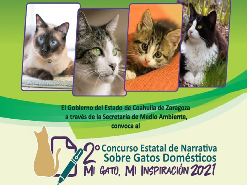 Invita Coahuila a concurso estatal de narrativa Mi gato, mi inspiración 2021
