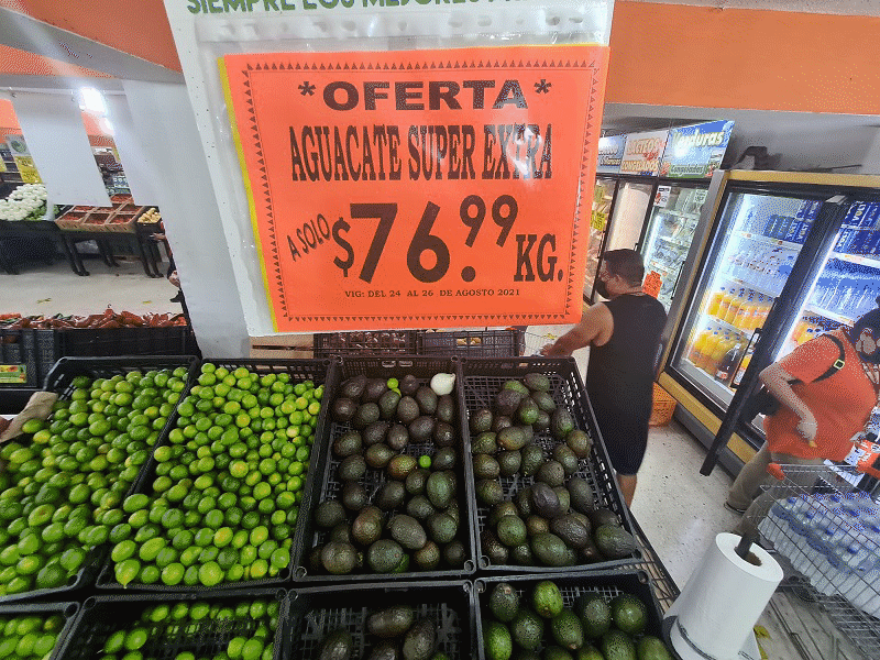 Reduce aguacate casi 50% su precio, pero se eleva el del mango