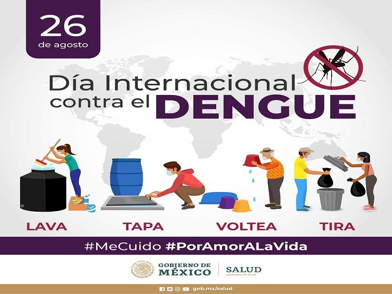 Revisan 160 ovitrampas por día en busca del mosquito transmisor del dengue