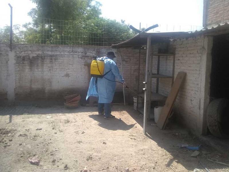 Vectores solo acude a los domicilios cuando el problema de garrapatas se sale de control, aclaran