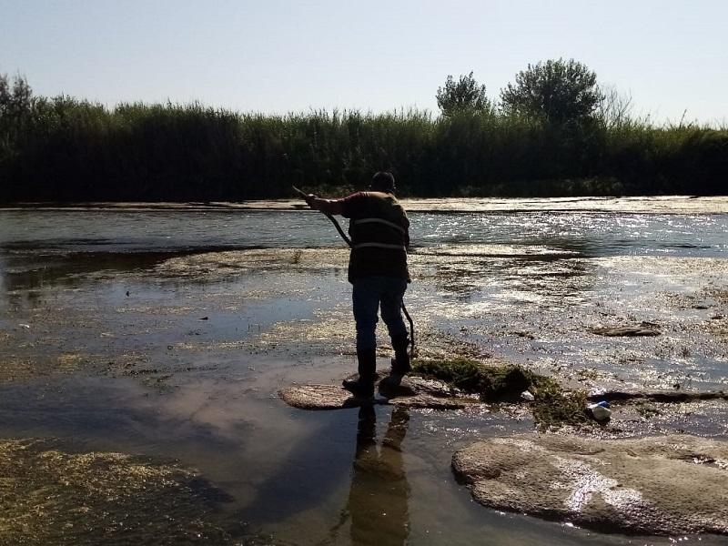 Aunque no hay casos de paludismo en Piedras Negras, se realizan acciones preventivas en el r&iacute;o Bravo (video)