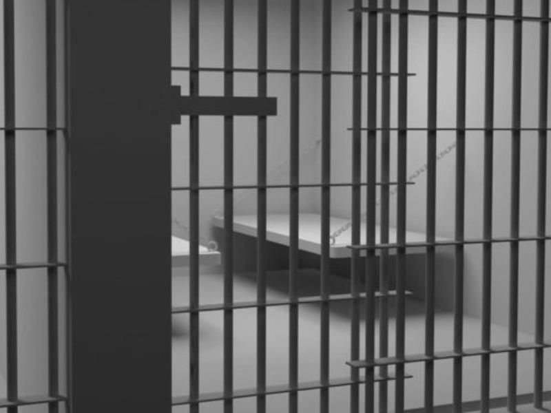 Segob publica lineamientos de seguimiento a solicitudes de preliberaci&oacute;n de reos