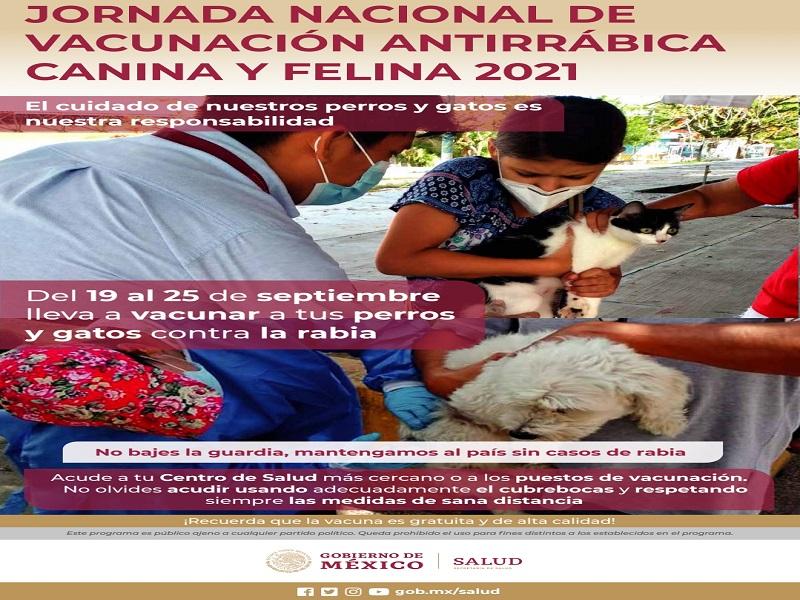 Del 19 al 25 de septiembre realizar&aacute;n Jornada Nacional de Vacunaci&oacute;n Antirr&aacute;bica y Felina 2021