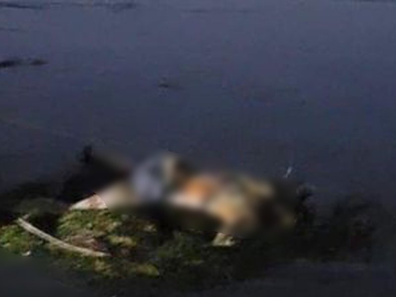 Rescatan cuerpo que flotaba en aguas del río Bravo en Jiménez