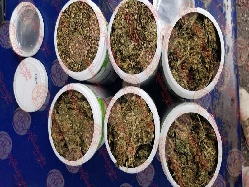 Decomisan marihuana oculta en botes de Herbalife en cami&oacute;n de paqueter&iacute;a en Allende