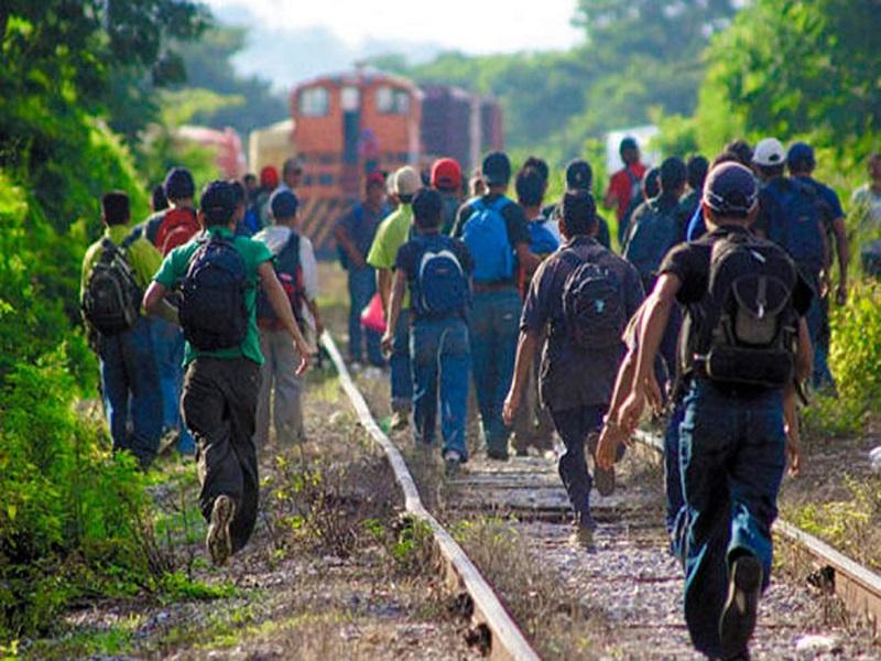 Sin fecha para restablecer Protocolos de Protección a Migrantes, EU realiza modificaciones al programa: Edgar Ramírez