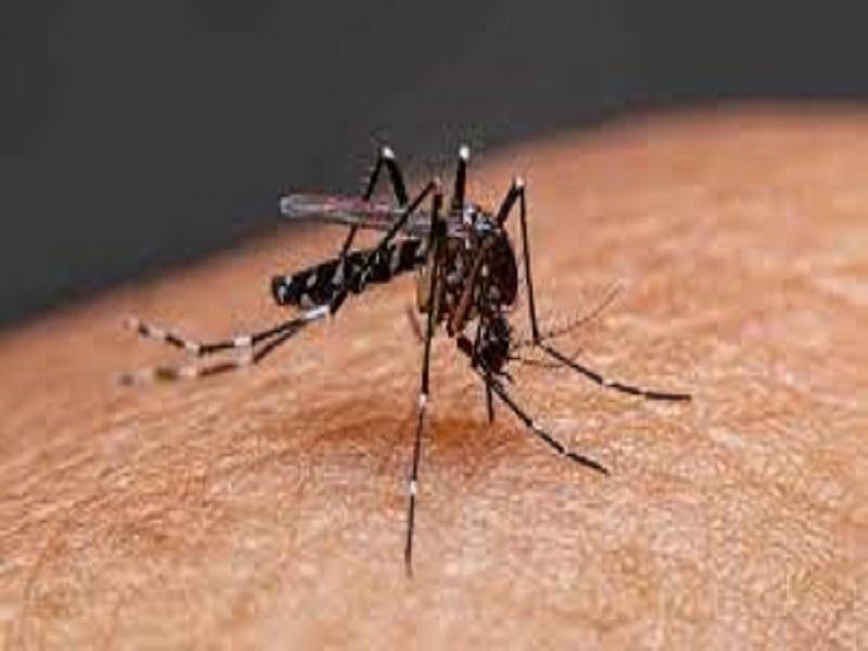 Aumentan a 35 los casos de dengue en Allende, hay 120 sospechosos (video)