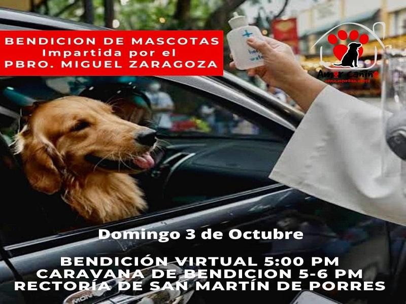 Este domingo bendecirán a mascotas en la Rectoría de San Martín de Porres