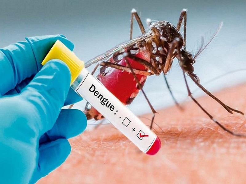 Allende tiene varios factores de riesgo que favorecen la reproduccion del mosquito transmisor del dengue