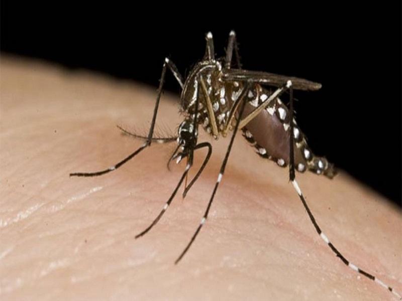 Hospital General ha atendido 10 casos sospechosos de dengue, dos están graves 