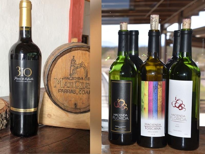 Coahuila, reconocido por sus vinos a nivel nacional: Listo cuarto Festival del Vino, la Gastronom&iacute;a y el Arte