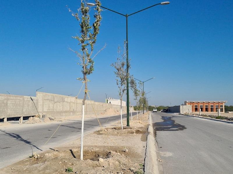 Municipio vigila que desarrolladores entreguen nuevas casas con al menos 2 &aacute;rboles 