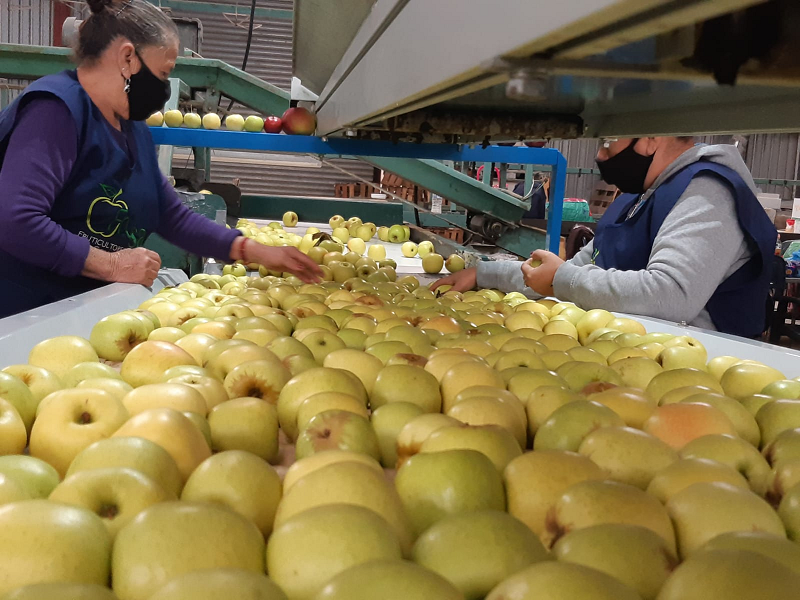 Reconoce Coahuila trabajo de las mujeres en el campo