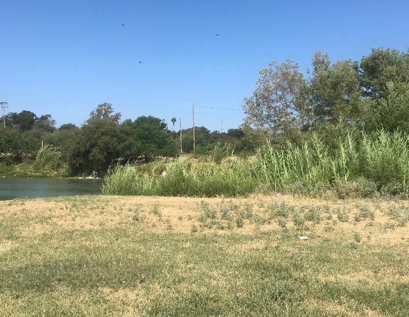 Ciudad de Eagle Pass limpia maleza del r&iacute;o Bravo para facilitar la vigilancia  