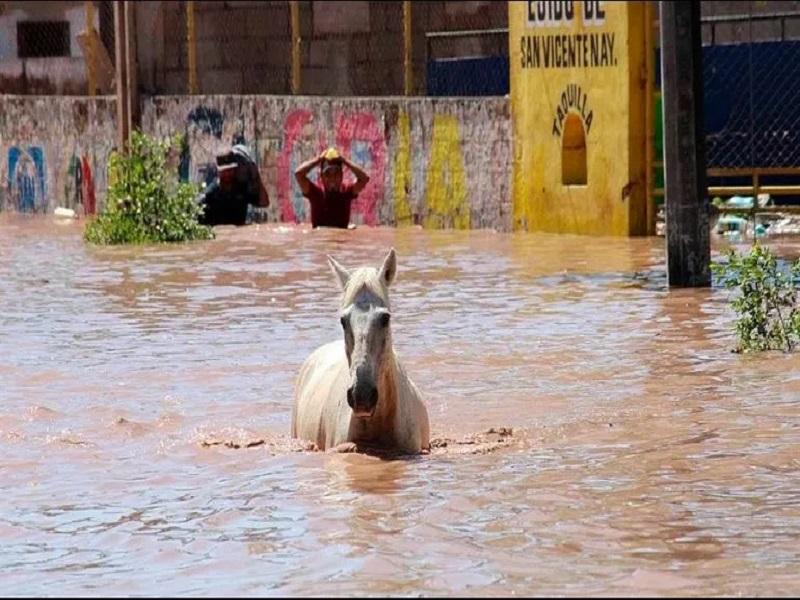Huracán Pamela dejó más de 11 mil damnificados a su paso por Nayarit y Sinaloa