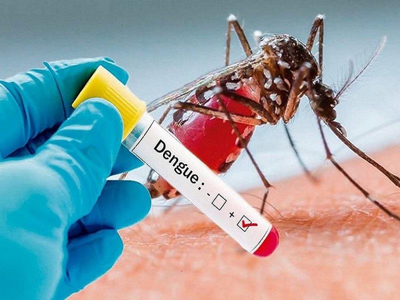 El dengue en Piedras Negras está controlado, solo se han registrado 8 casos este año