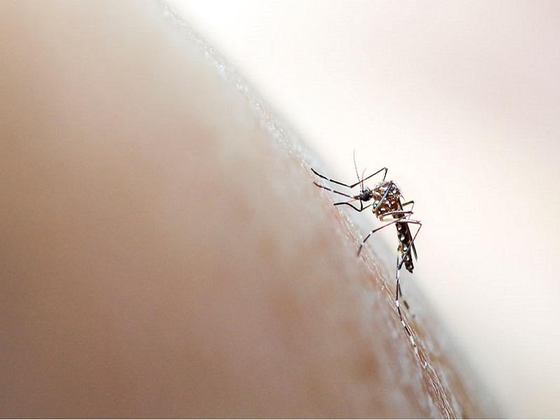Semana anterior cerró con 16 casos de dengue en Piedras Negras, en Allende hay 161 (video)