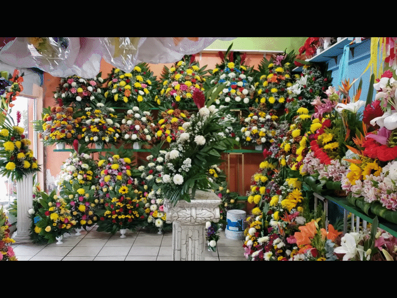 Reportan bajas ventas de flores, esperan repunte este D&iacute;a de Muertos