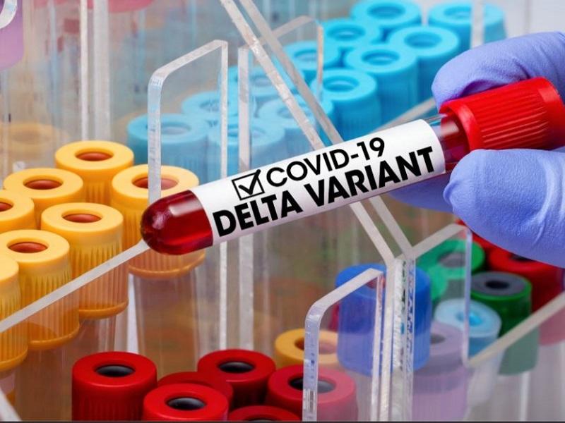 Anticipa Salud nuevos brotes por variante Delta de COVID en noviembre