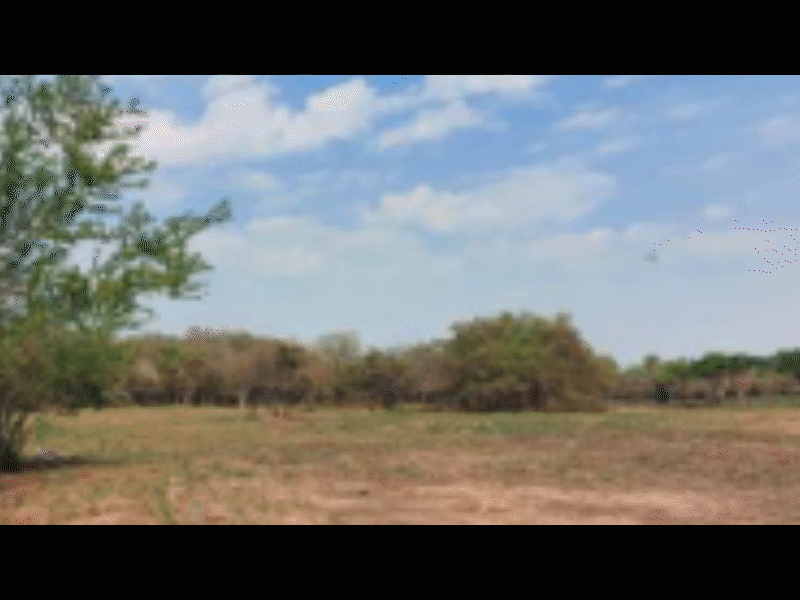 SingleFile
