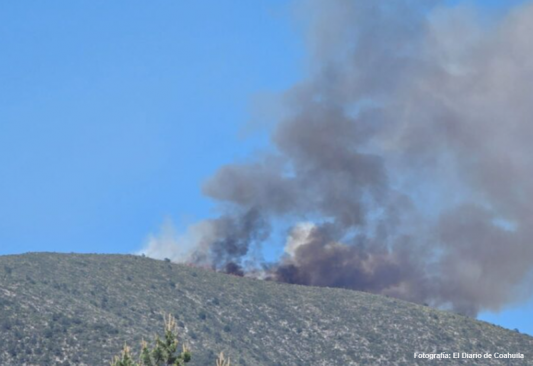 Incendio en sierra de Zapalinamé