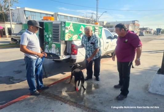 vacunación antirrábica