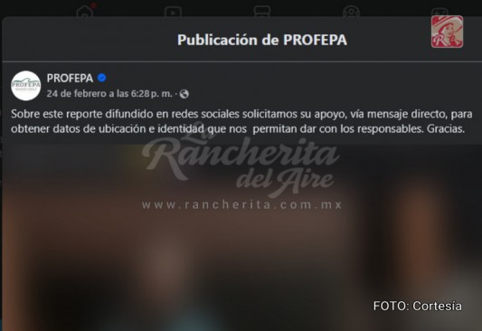 Rancherita