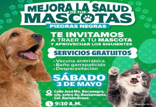 Brigada mascotas