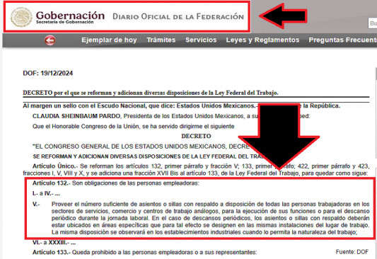 Ley Silla en el Diario Oficial