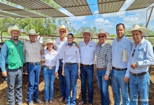 Ganaderos