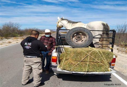 Rancherita